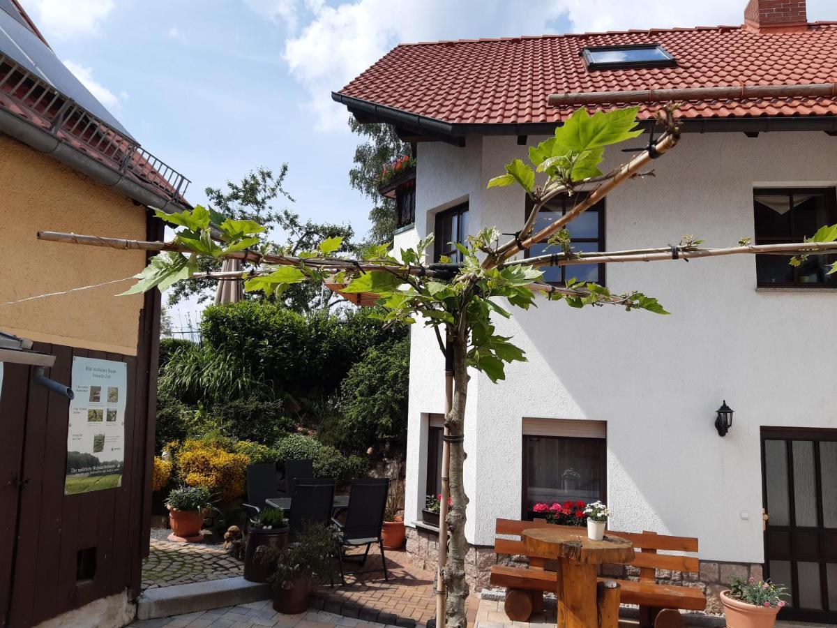 Ferienwohnung Reissmann Heinsdorfergrund Zewnętrze zdjęcie